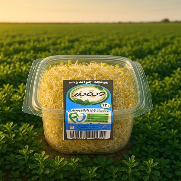 جوانه یونجه
